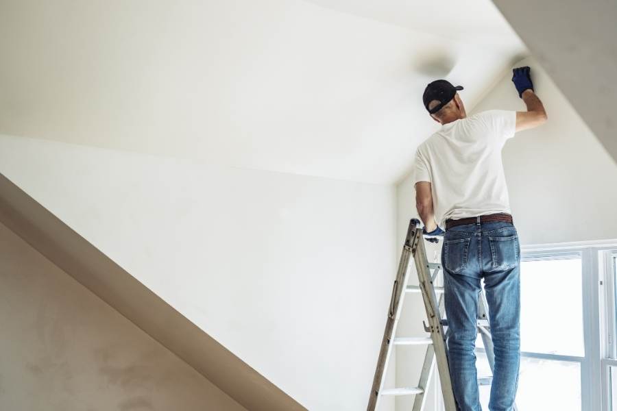 Se requiere albañil pintor para pintar mi departamento
